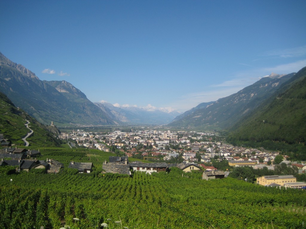 Martigny_rhone_valley[1]