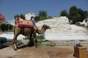 IMG 1201 300x199 PAMUKKALE Hierapolis   Ağustos 2012