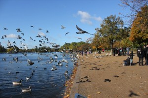 hyde park