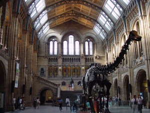 Natural-History-Museum-Attractions-in-London[1]
