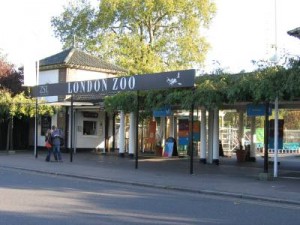 london-zoo[1]