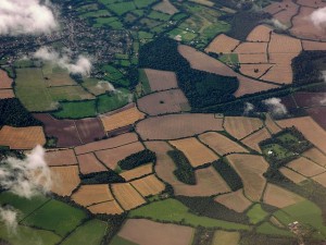 Europe-Birmingham-England-agriculture[1]