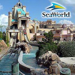 seaworld orlando photos[1]
