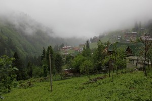 ayder