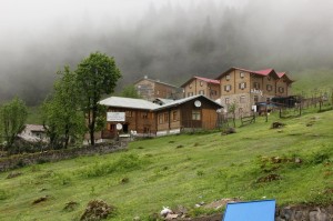 ayder