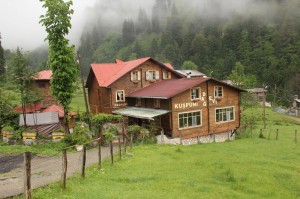 ayder