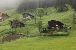 ayder