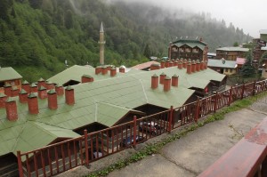 ayder