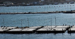 San Diego Point Loma