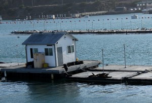 San Diego Point Loma